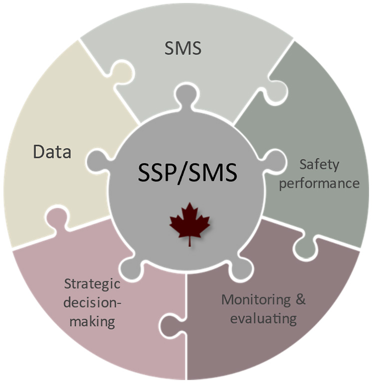 A pie chart with a round centre piece shows how SMS and SSP fit together. A centre piece is labelled SSP/ SMS. It is surrounded by pieces labeled Safety performance, monitoring and evaluating, strategic decision making, data and SMS.