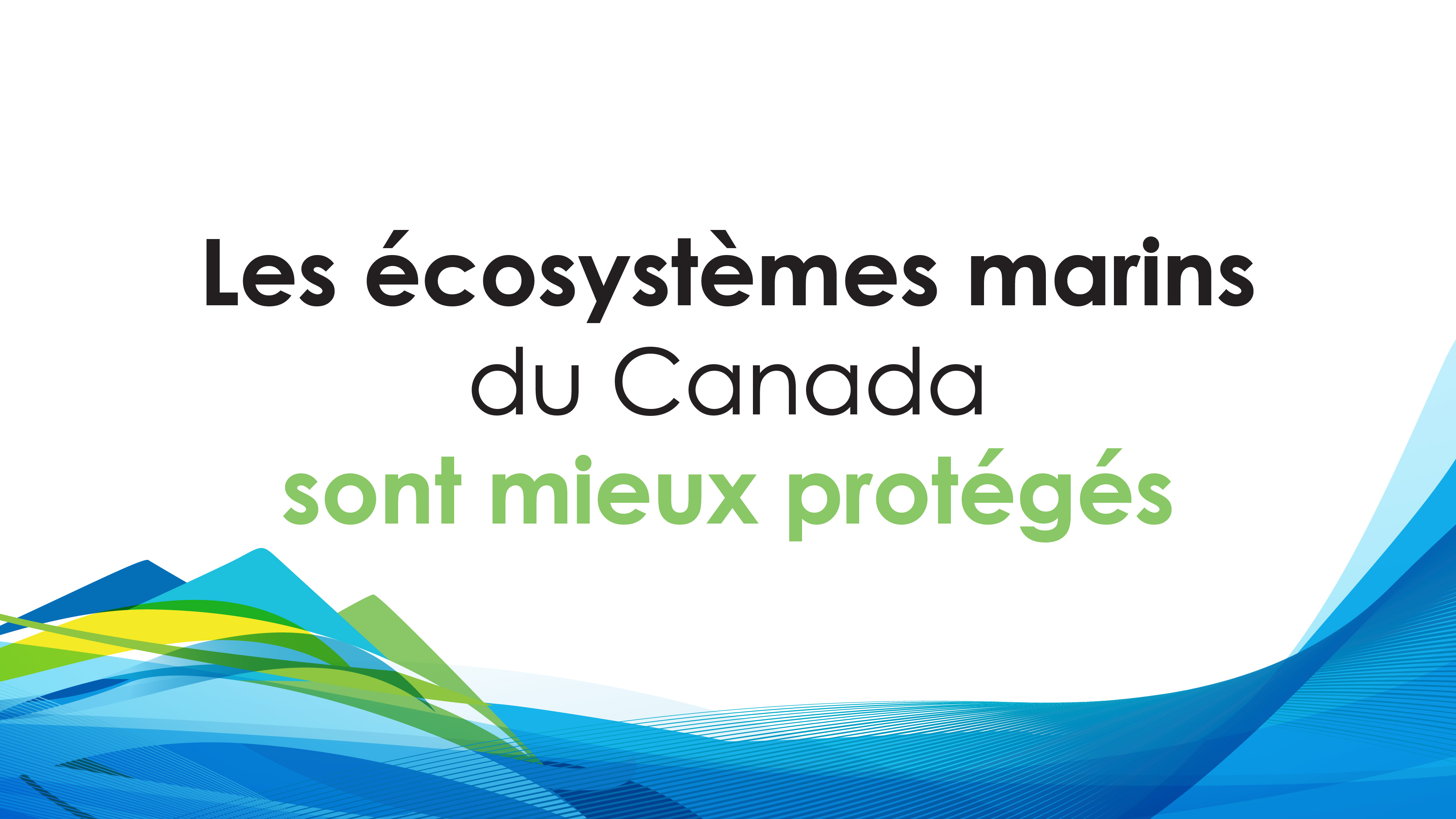 Les écosystèmes marins du Canada sont mieux protégés