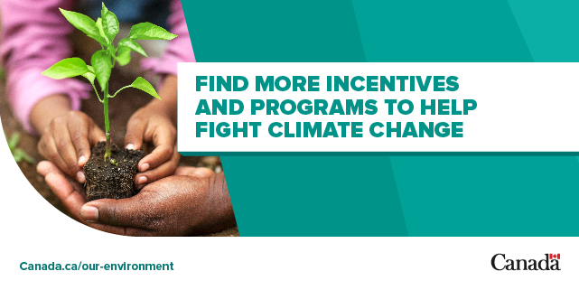 Find more incentives and programs to help fight climate change