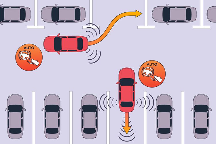 Two vehicles use sensors to help them park. One is parallel parking and the other is reversing into a parking spot. Their sensors detect the positions of parked cars.