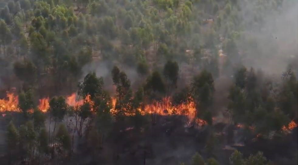 Video: Using drones to monitor wildfires