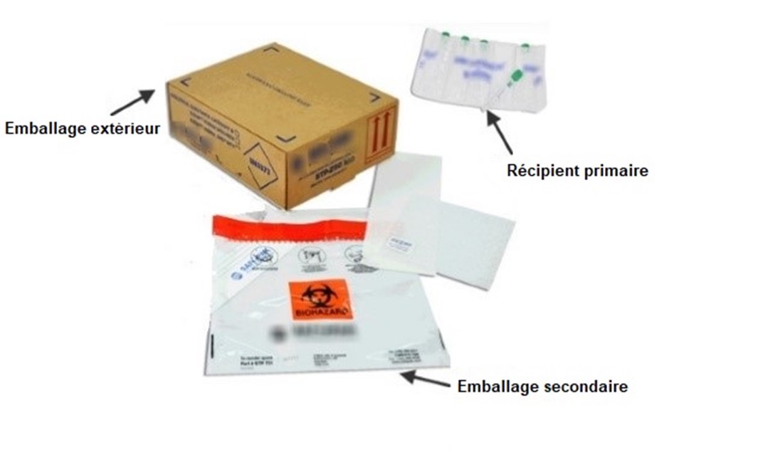 Image de l’emballage extérieur, du récipient primaire et de l’emballage secondaire pour le type d’emballage P650.