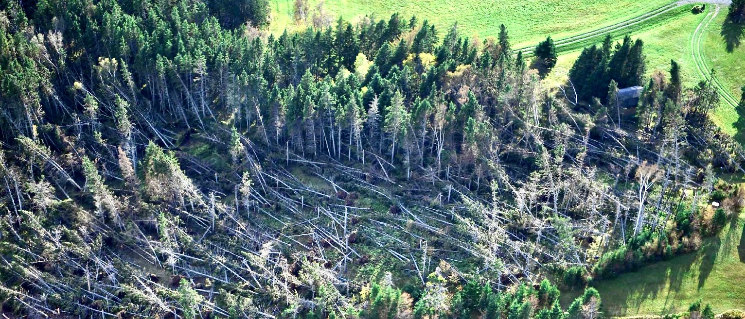 Une photo de surveillance aérienne prise par le Programme national de surveillance aérienne après l'ouragan Fiona montre une section de forêt gravement endommagée au Canada atlantique.