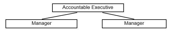 An organizational chart starts with the Accountable Executive, below are 2 Manager positions.
