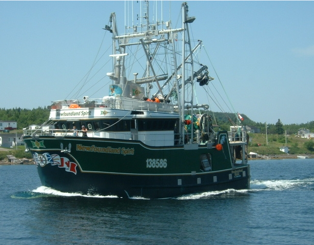 TP 15392E - Guidelines for fishing vessel major modification or a change in  activity